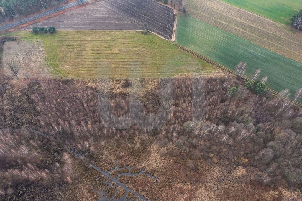 Działka komercyjna na sprzedaż Ręczaje Polskie  23 700m2 Foto 17