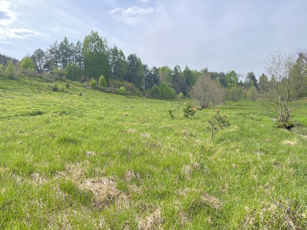 Działka budowlana na sprzedaż Koleczkowo, Bitwy Nad Ślężą  2 551m2 Foto 6