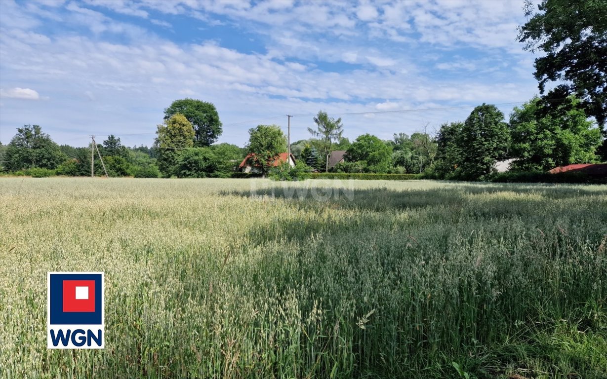 Działka budowlana na sprzedaż Skoczów, Pogórze  2 749m2 Foto 3