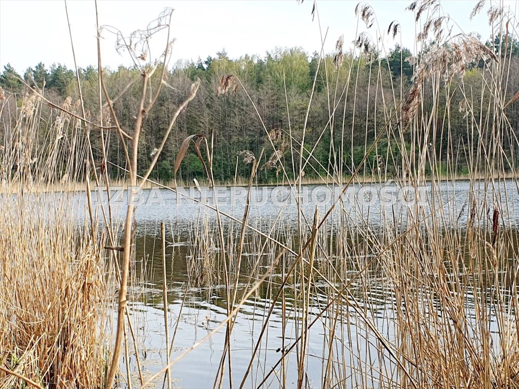 Działka leśna na sprzedaż Grabnik  5 023m2 Foto 9