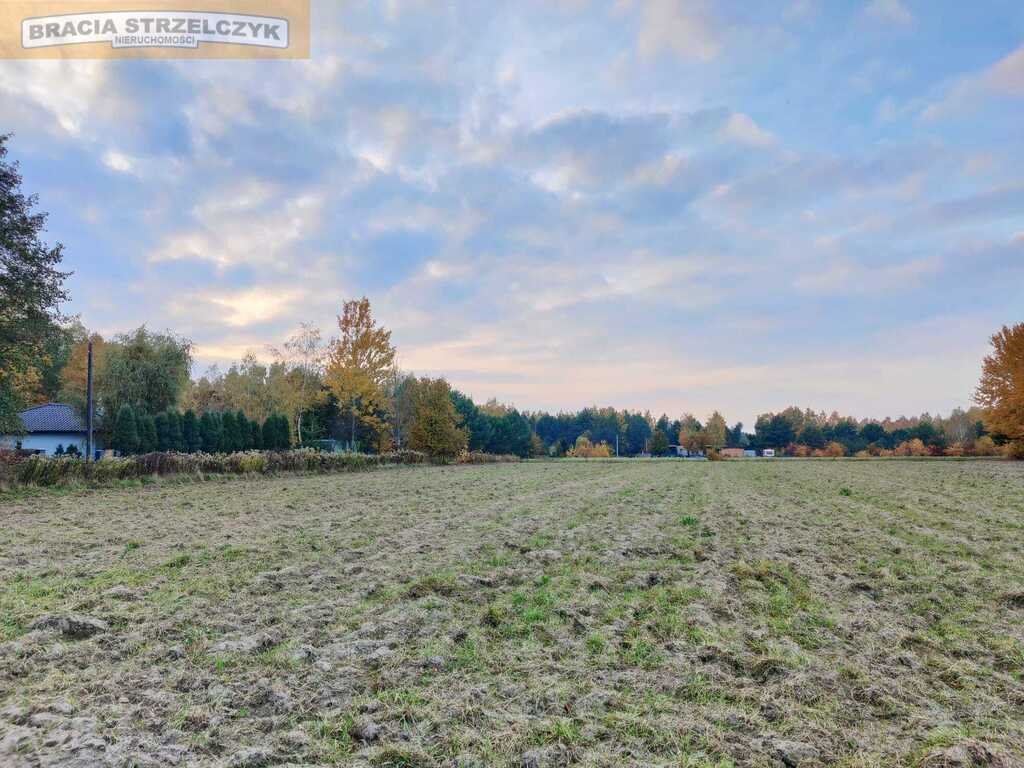 Działka budowlana na sprzedaż Słubica Dobra  1 544m2 Foto 2