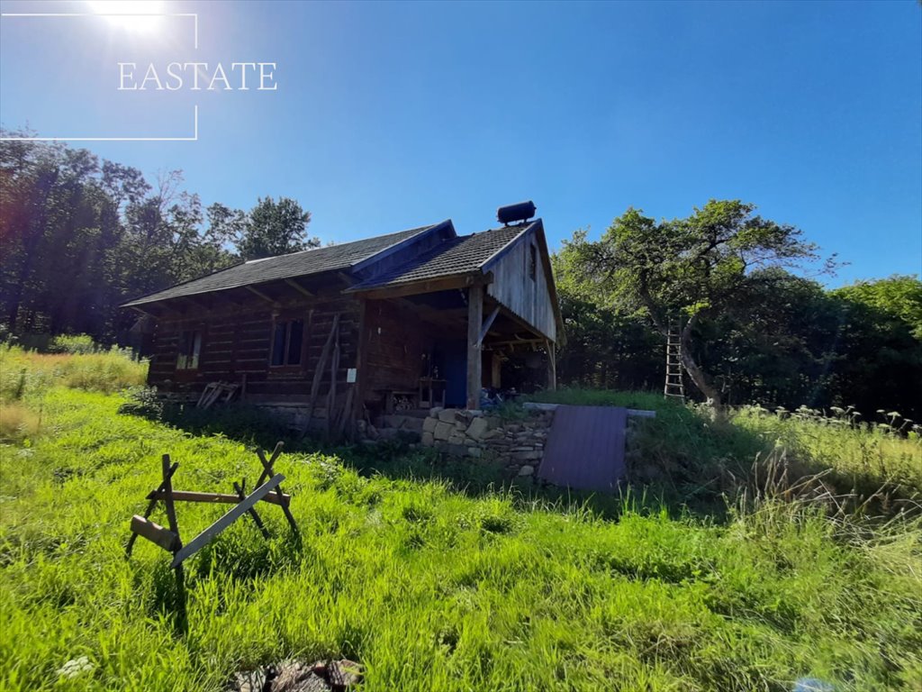 Działka leśna na sprzedaż Bartkowa-Posadowa  43 300m2 Foto 1