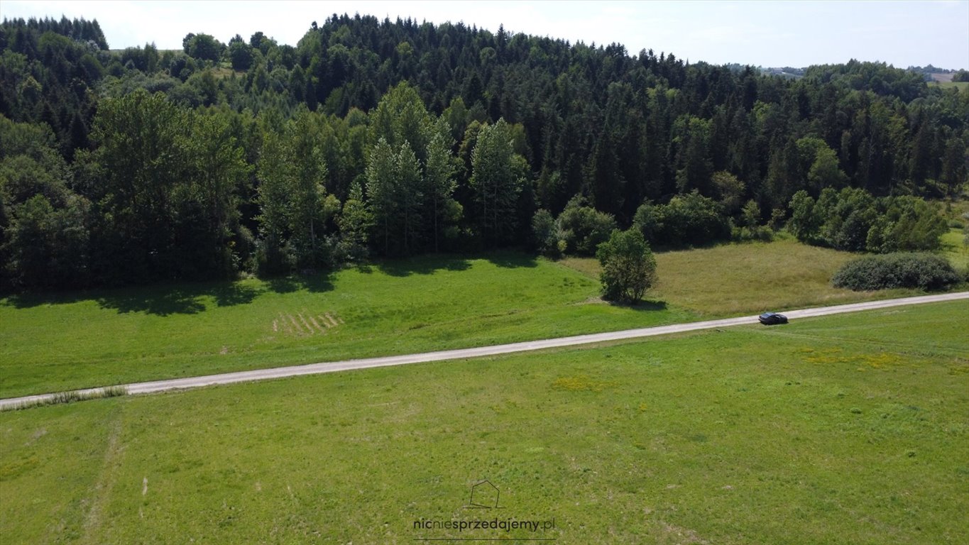 Dom na sprzedaż Rzepiennik Strzyżewski, Turza, Turza, Turza  300m2 Foto 6