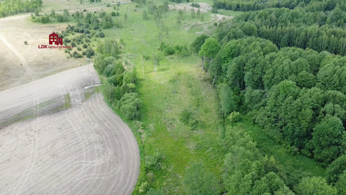 Działka budowlana na sprzedaż Zielona Góra  35 300m2 Foto 6