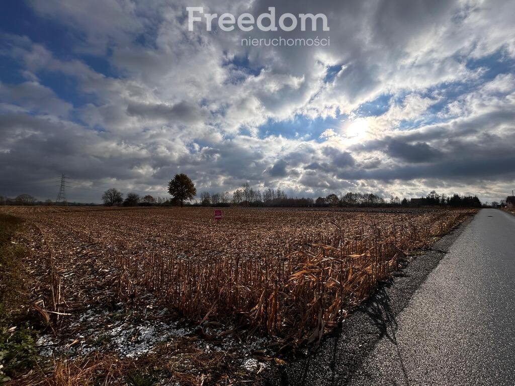 Działka rolna na sprzedaż Smolice, Przyległa  5 920m2 Foto 2