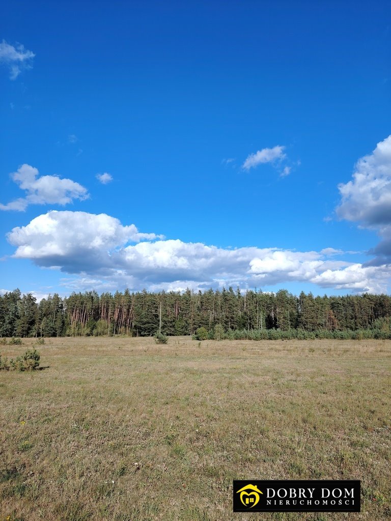 Działka budowlana na sprzedaż Danowskie  1 000m2 Foto 9