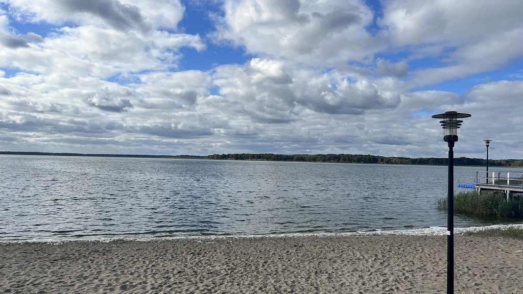 Działka 2656 m² w otulinie Puszczy Wkrzańskiej, prąd, las Brzózki  2 656m2 Foto 1