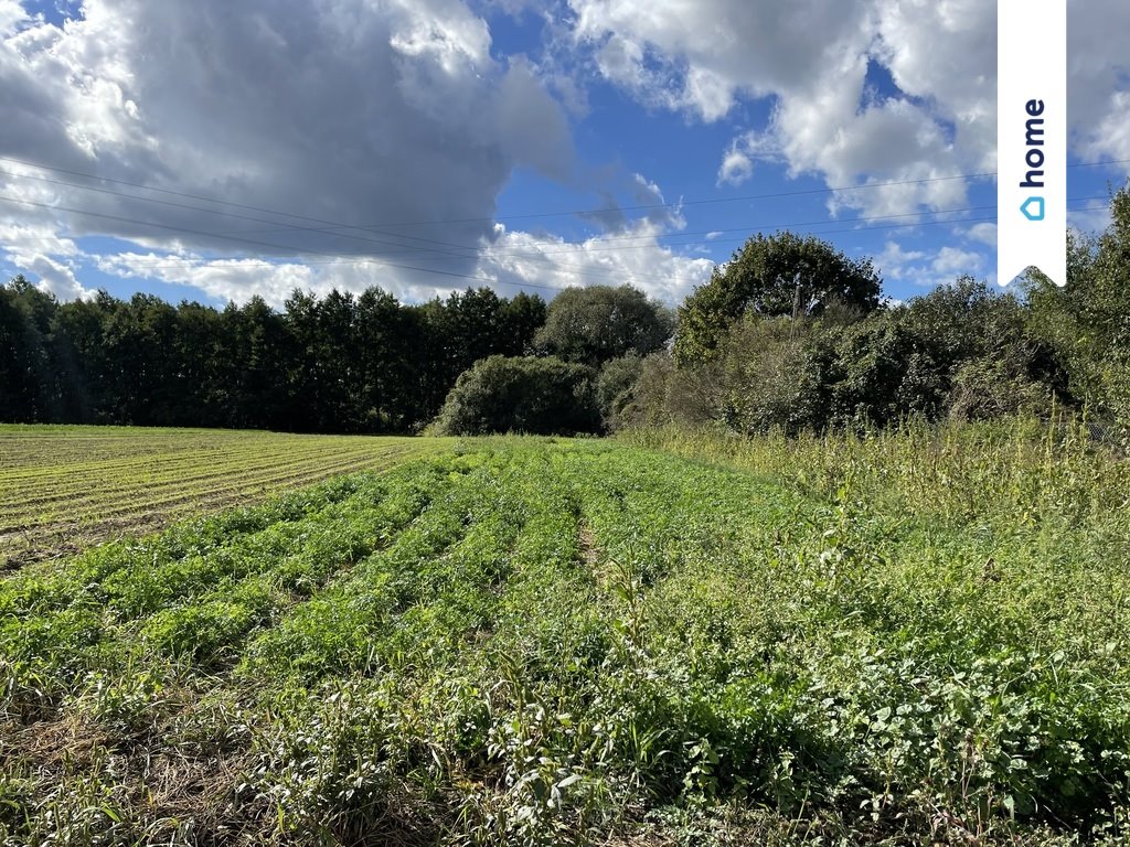 Działka budowlana na sprzedaż Bydgoszcz, Łęgnowo, Otorowska  3 150m2 Foto 1