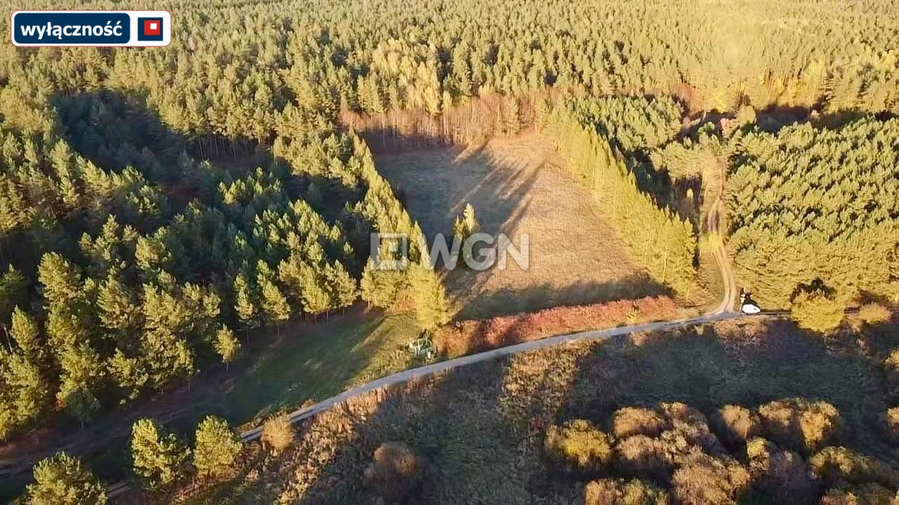 Działka rolna na sprzedaż Kuty  3 009m2 Foto 5