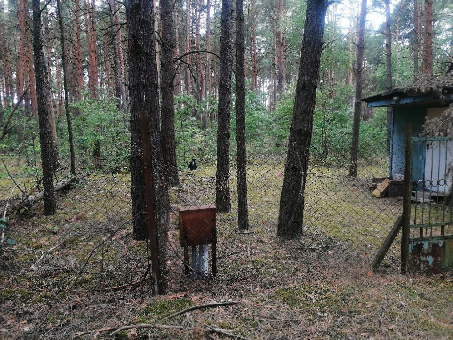 Działka rolna na sprzedaż Starowola, Puchacza  1 100m2 Foto 10