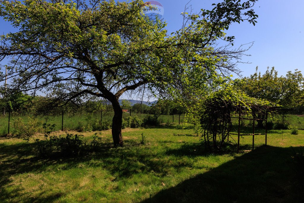 Dom na sprzedaż Stara Wieś, Stara Wieś Górna  80m2 Foto 5