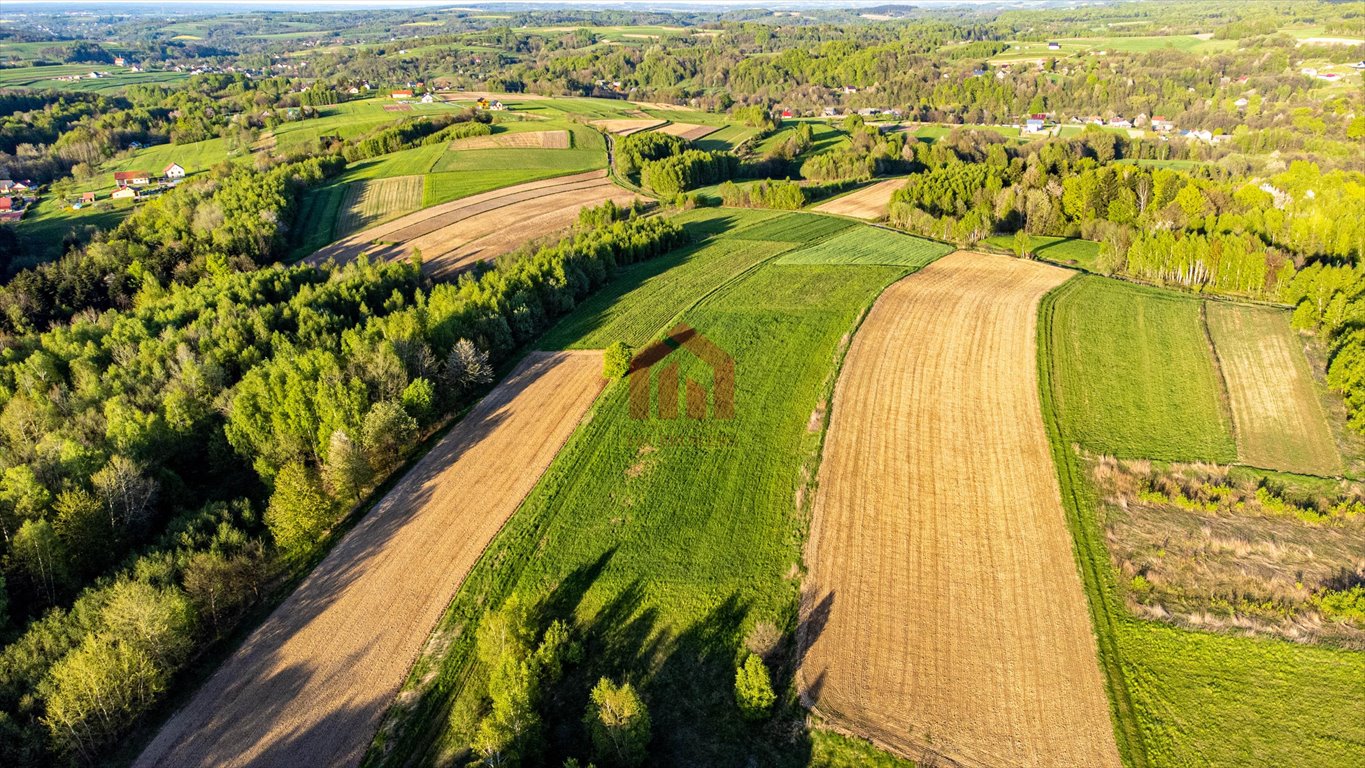 Działka rekreacyjna na sprzedaż Szkodna  4 000m2 Foto 3