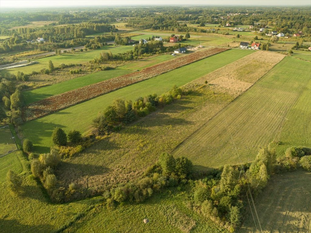 Działka budowlana na sprzedaż Postoliska  15 000m2 Foto 11