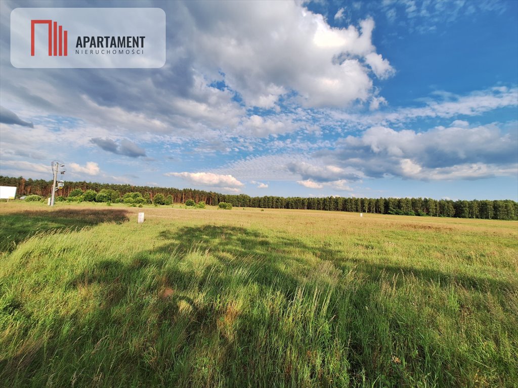 Działka budowlana na sprzedaż Plecemin  315m2 Foto 2