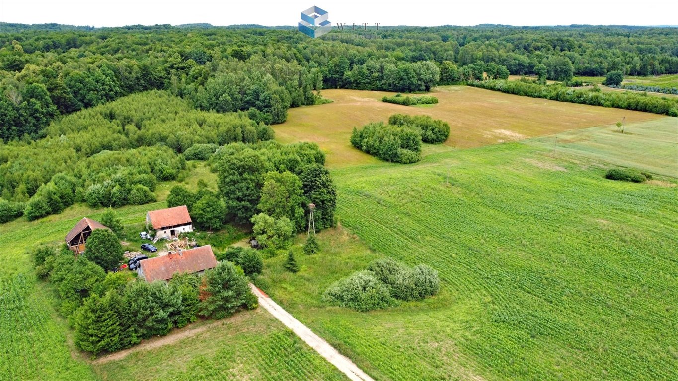 Działka budowlana na sprzedaż Łączno  1 500m2 Foto 12