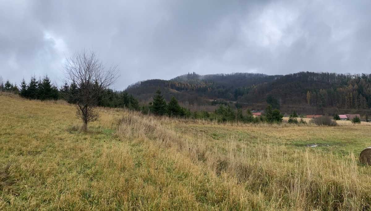 Działka inna na sprzedaż Kłodzko  44 300m2 Foto 5