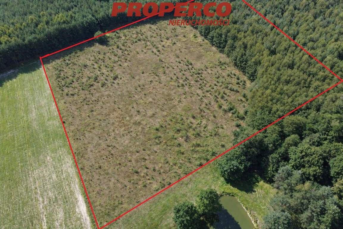 Działka 36 661 m² z domem i stawem – inwestycja lub dom Bogoria-Kolonia  36 661m2 Foto 1