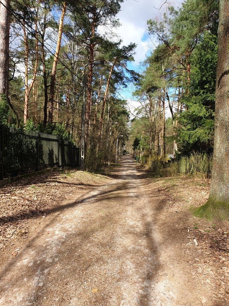 Działka budowlana na sprzedaż Zalesie Górne, Urocza 2 661m2 Foto 1 Działka budowlana na sprzedaż Zalesie Górne, Urocza 2 661m2 Foto 1