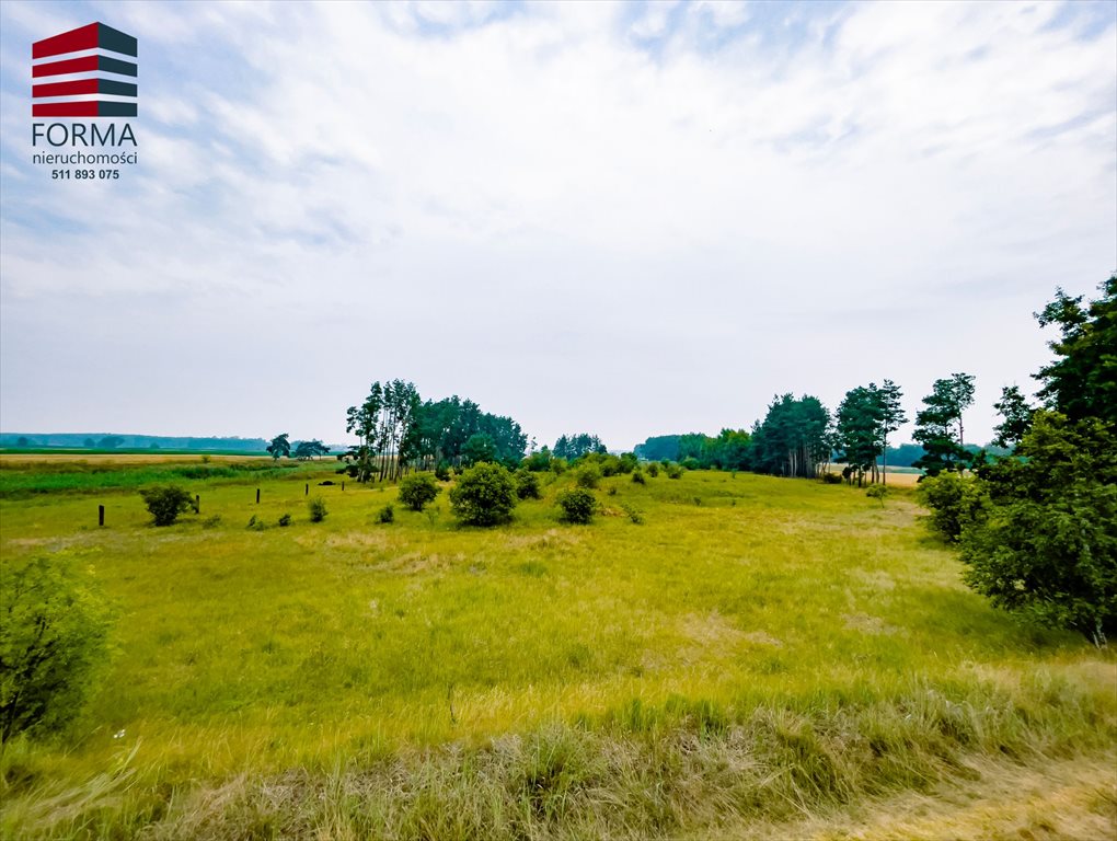 Działka leśna na sprzedaż Pięczkowo, Pięczkowo, sportowa 212/1  35 280m2 Foto 7