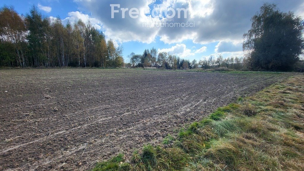 Działka budowlana na sprzedaż Połomia  5 700m2 Foto 5