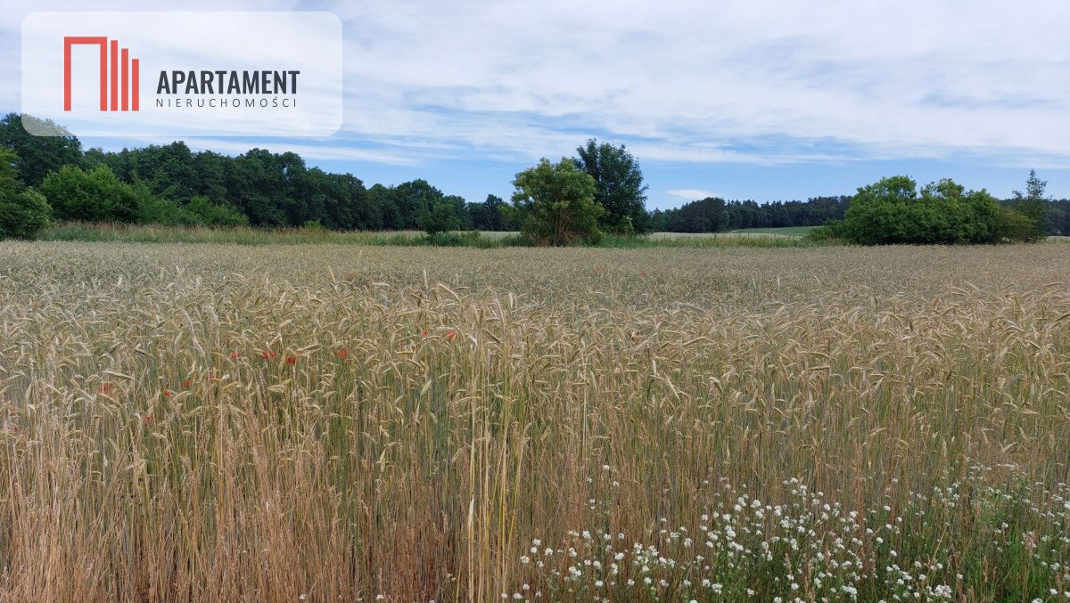 Działka budowlana 3000 m² z dostępem do wody i prądu Śmiłowo  1 000m2 Foto 1