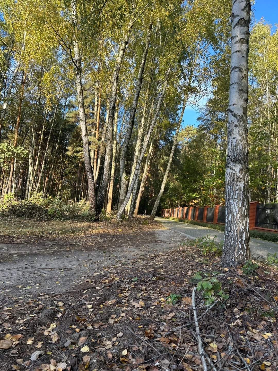 Zapraszam do obejrzenia działki 5500 m² z podziałem w Lesznie Wólka  5 500m2 Foto 1