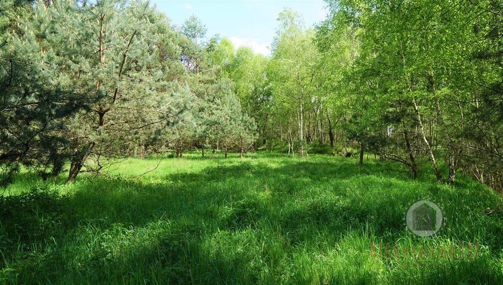 Działka budowlana na sprzedaż Santocko  5 100m2 Foto 3