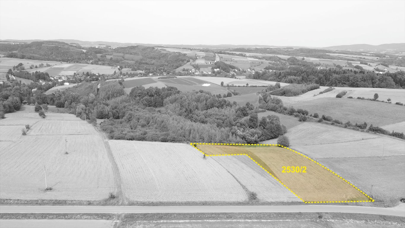 Działka 4,2 ha pod zabudowę i działalność - zapraszam Binarowa  4 200m2 Foto 1