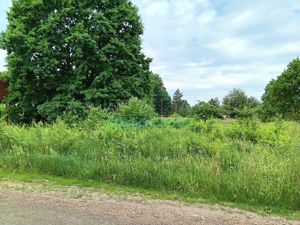 Działka budowlana na sprzedaż Żółwin  1 000m2 Foto 3