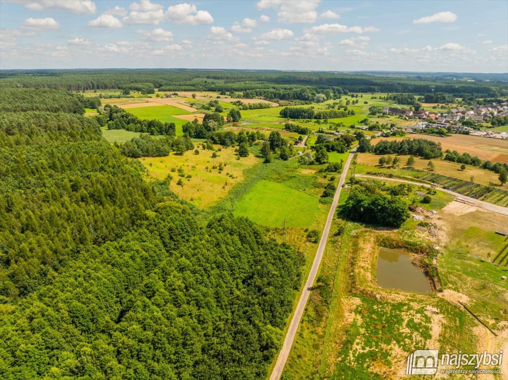 Działka rolna na sprzedaż Chojna  23 200m2 Foto 7