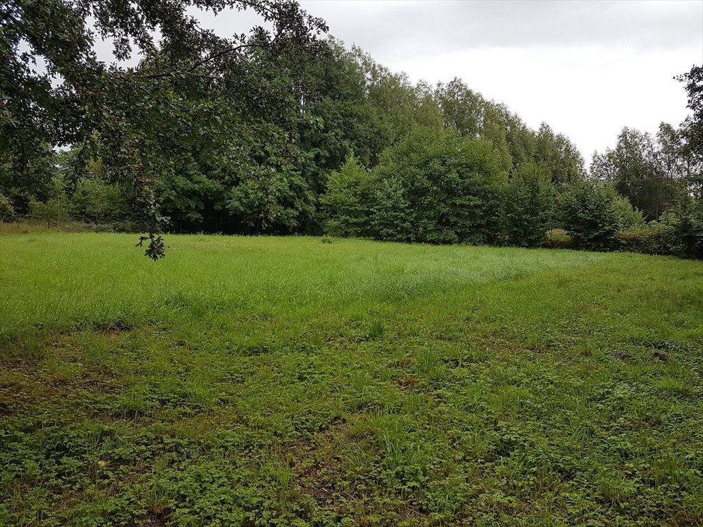 Działka budowlana na sprzedaż Odargowo, ul. Morska 1 532m2 Foto 1 Działka budowlana na sprzedaż Odargowo, ul. Morska 1 532m2 Foto 1