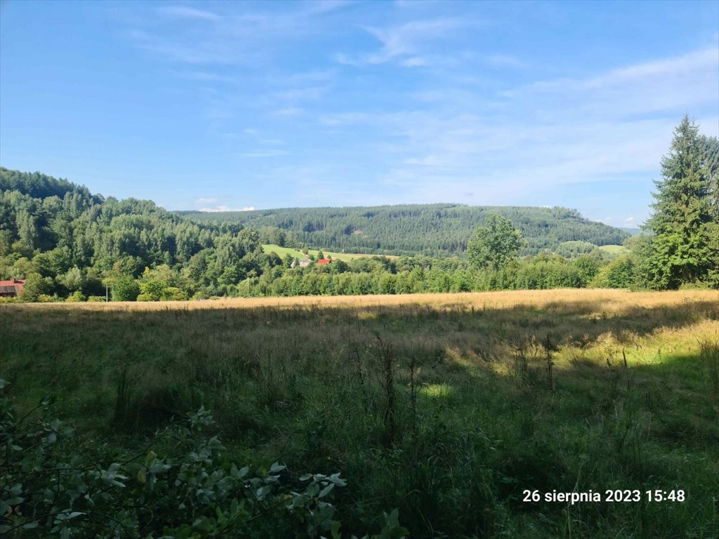 Malownicza działka w Wambierzycach u podnóża Góry Mnich Wambierzyce, Wambierzyce  3 911m2 Foto 1