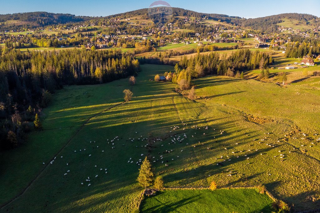 Działka rolna na sprzedaż Kościelisko  4 107m2 Foto 13