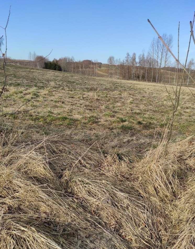 Działka 16 ar z warunkami zabudowy, media, asfalt Wola Zgłobieńska  1 609m2 Foto 1