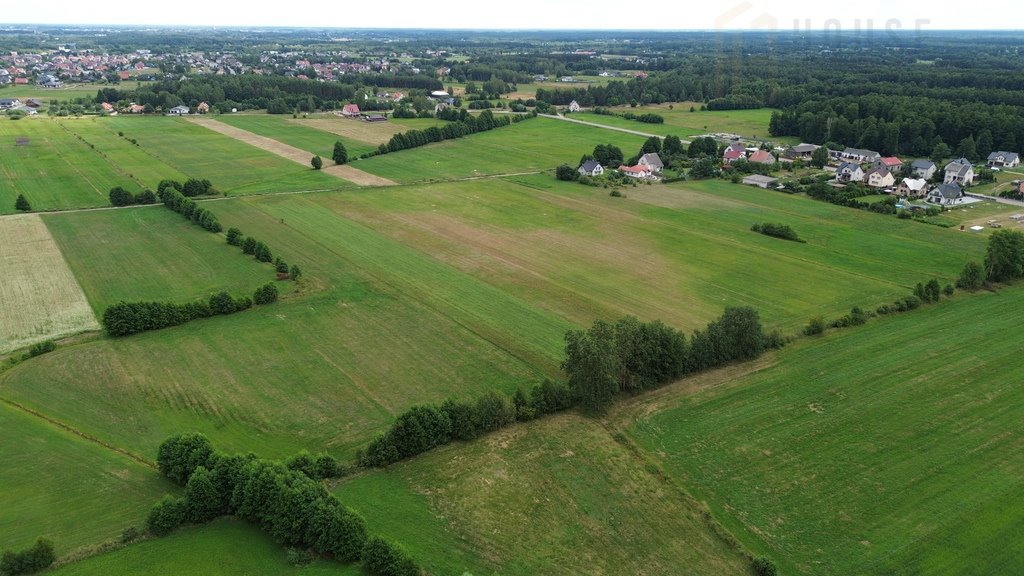 Działka rolna na sprzedaż Nakły  23 600m2 Foto 2