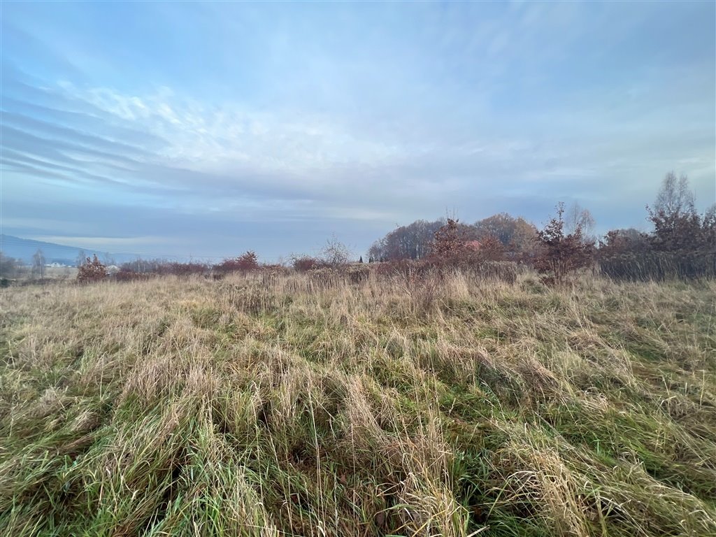 Działka 4123 m² pod inwestycję w górach, widok na pasmo Wojcieszyce  4 123m2 Foto 1