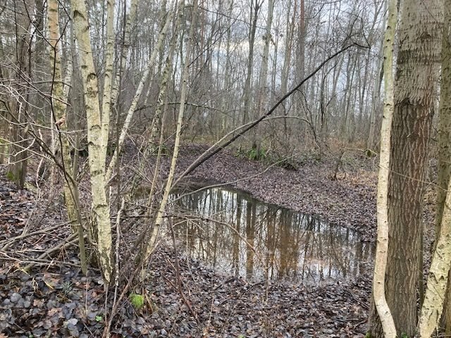 Działka budowlana na sprzedaż Ciężków  10 318m2 Foto 8