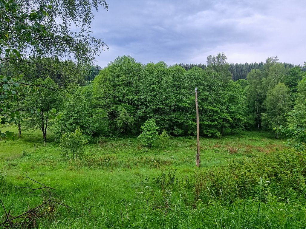 Działka inna na sprzedaż Niemojów  22 900m2 Foto 9