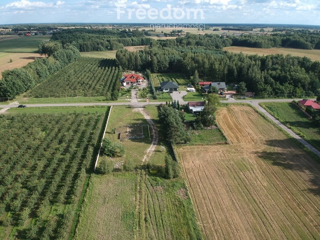 Działka inna na sprzedaż Filipinów  3 000m2 Foto 10