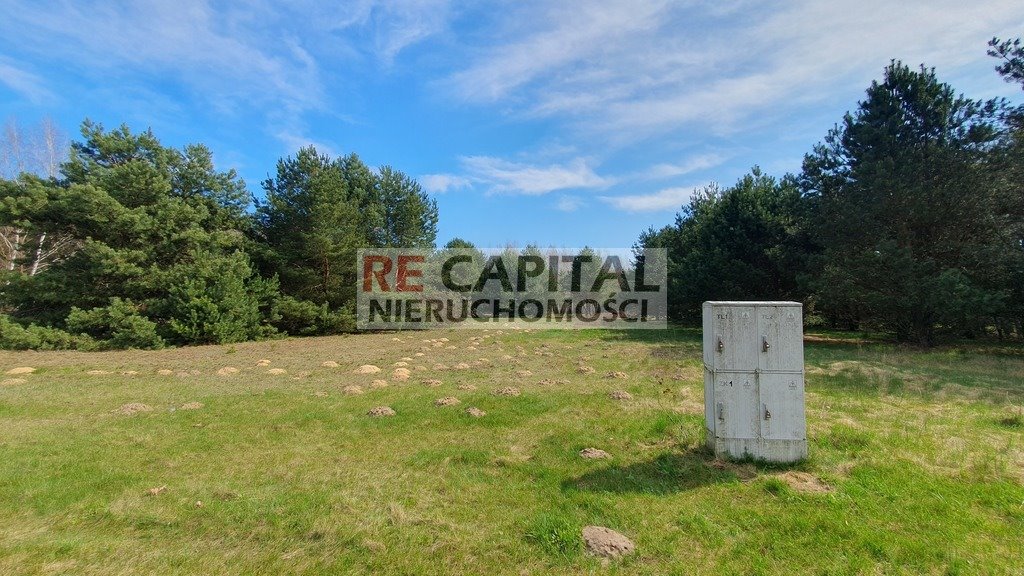 Działka 1612 m2 w Powązkach – cisza, przyroda, media Powązki  1 612m2 Foto 1