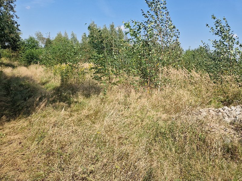 Działka budowlana na sprzedaż Blachownia, GORZELNIA STARA  1 371m2 Foto 3