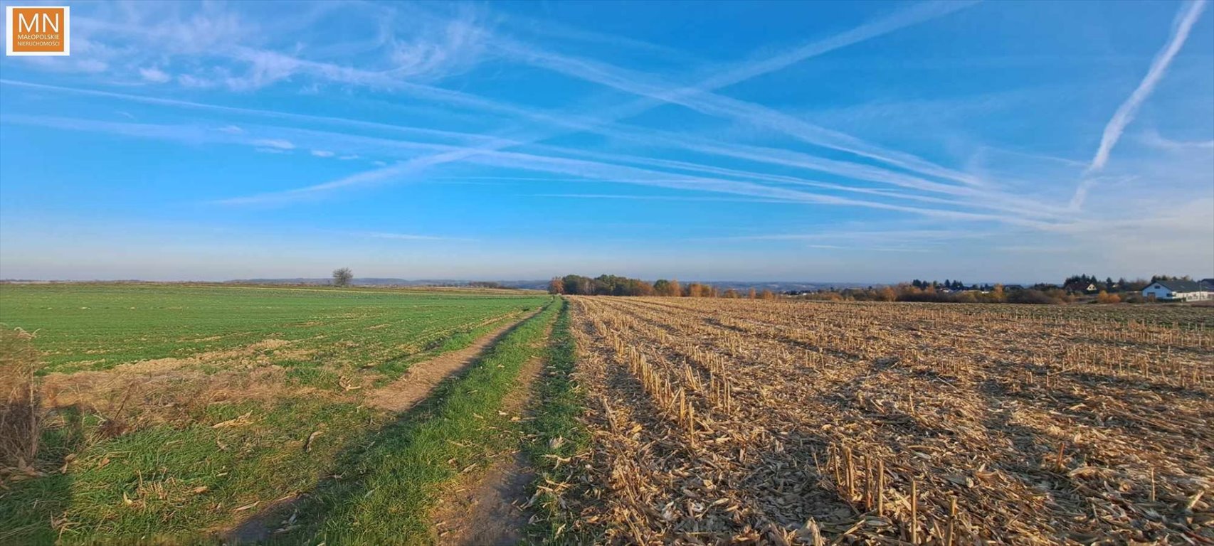 Dom na sprzedaż Kozierów  146m2 Foto 4