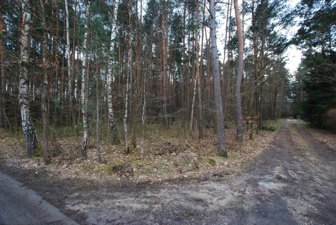 Działka leśna na sprzedaż Daleszyce, Marzysz  8 600m2 Foto 2