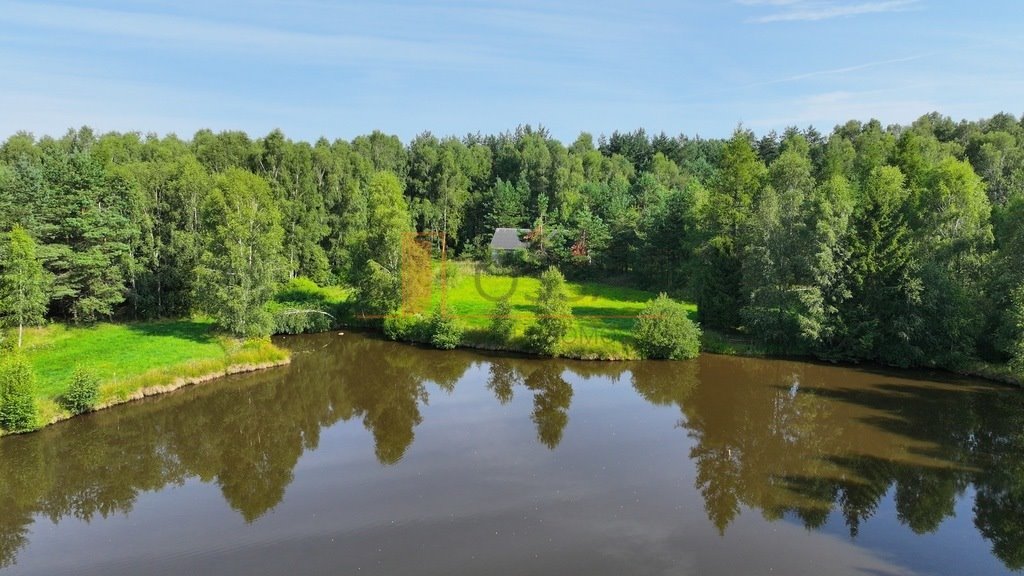 Działka siedliskowa na sprzedaż Grabowska Huta  16 780m2 Foto 6