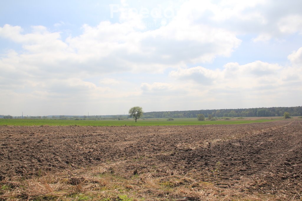 Dom na sprzedaż Jeżów  100m2 Foto 16