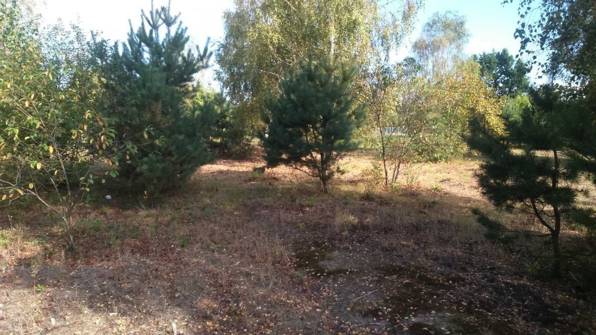 Działka pod zabudowę jednorodzinną 9400 m², plan M-U Borowina  9 400m2 Foto 1