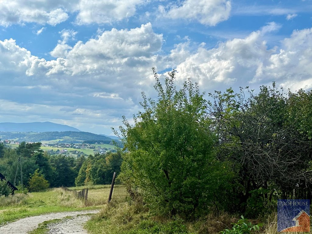 Działka budowlana na sprzedaż Limanowa, Stara Wieś  5 700m2 Foto 13