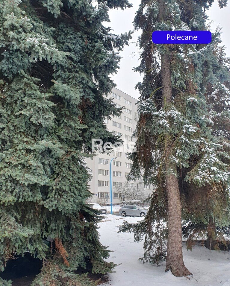 2-pokojowe mieszkanie do remontu z potencjałem, blisko parków Warszawa, Ochota, Rakowiec, Mołdawska  37m2 Foto 1