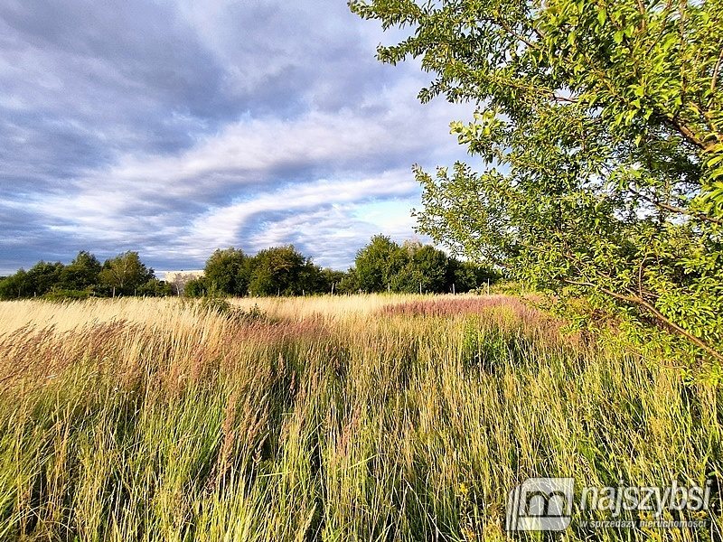 Działka rolna na sprzedaż Łupowo, Wieprzyce  2 352m2 Foto 8