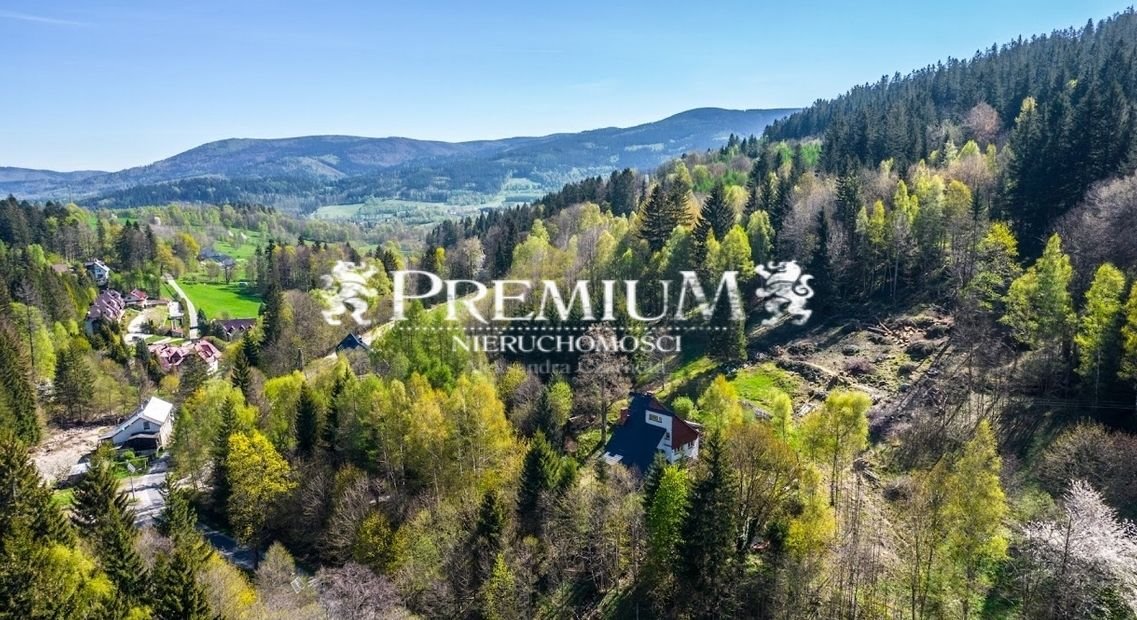 Działka budowlana na sprzedaż Kletno, Kletno  5 500m2 Foto 1